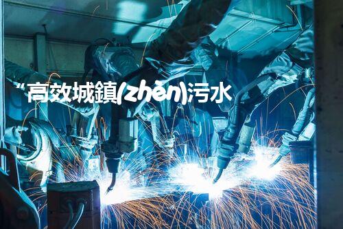 “高效城鎮(zhèn)污水處理流程，守護(hù)碧水藍(lán)天新篇章”